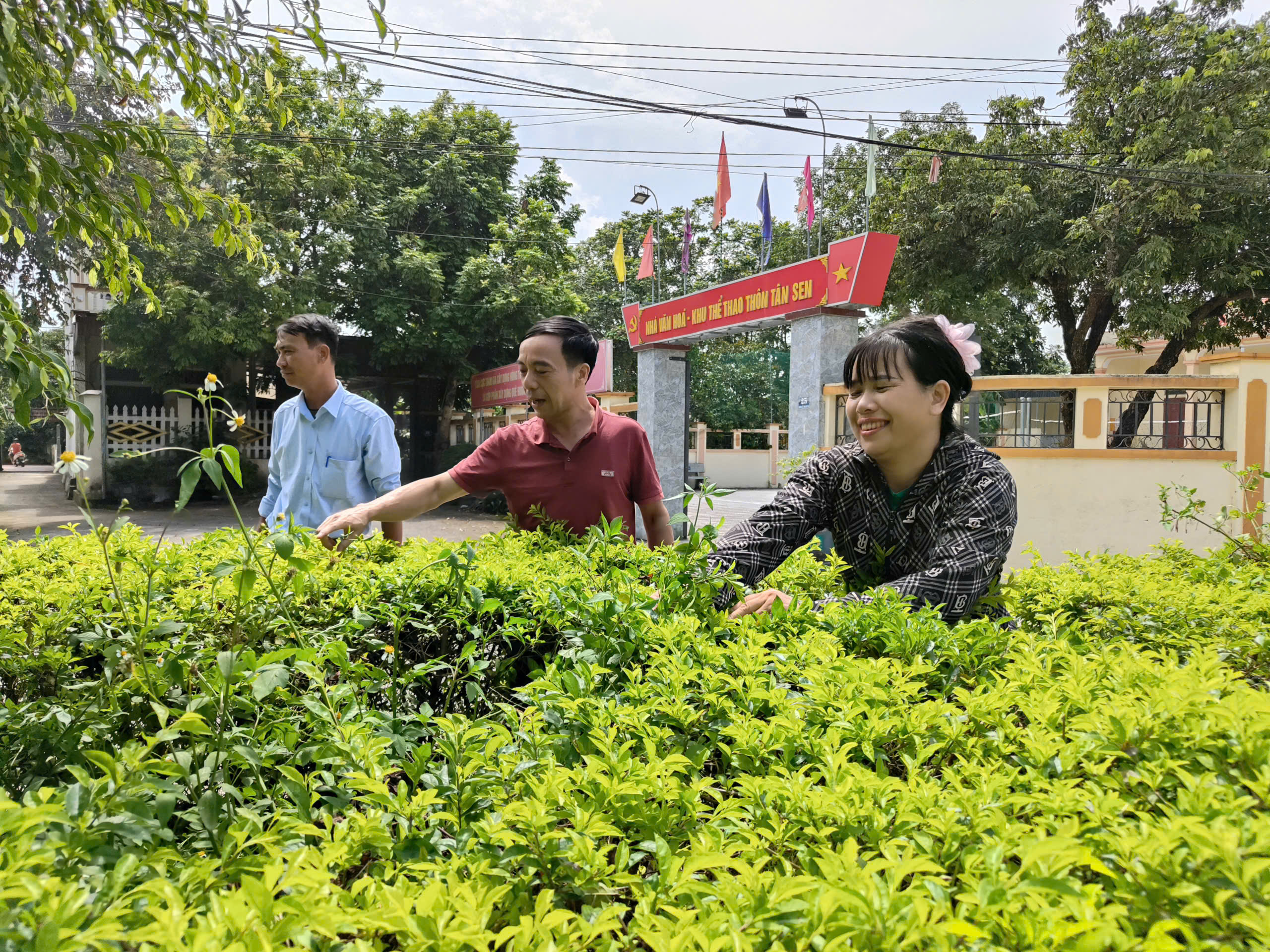 Anh-tin-bai